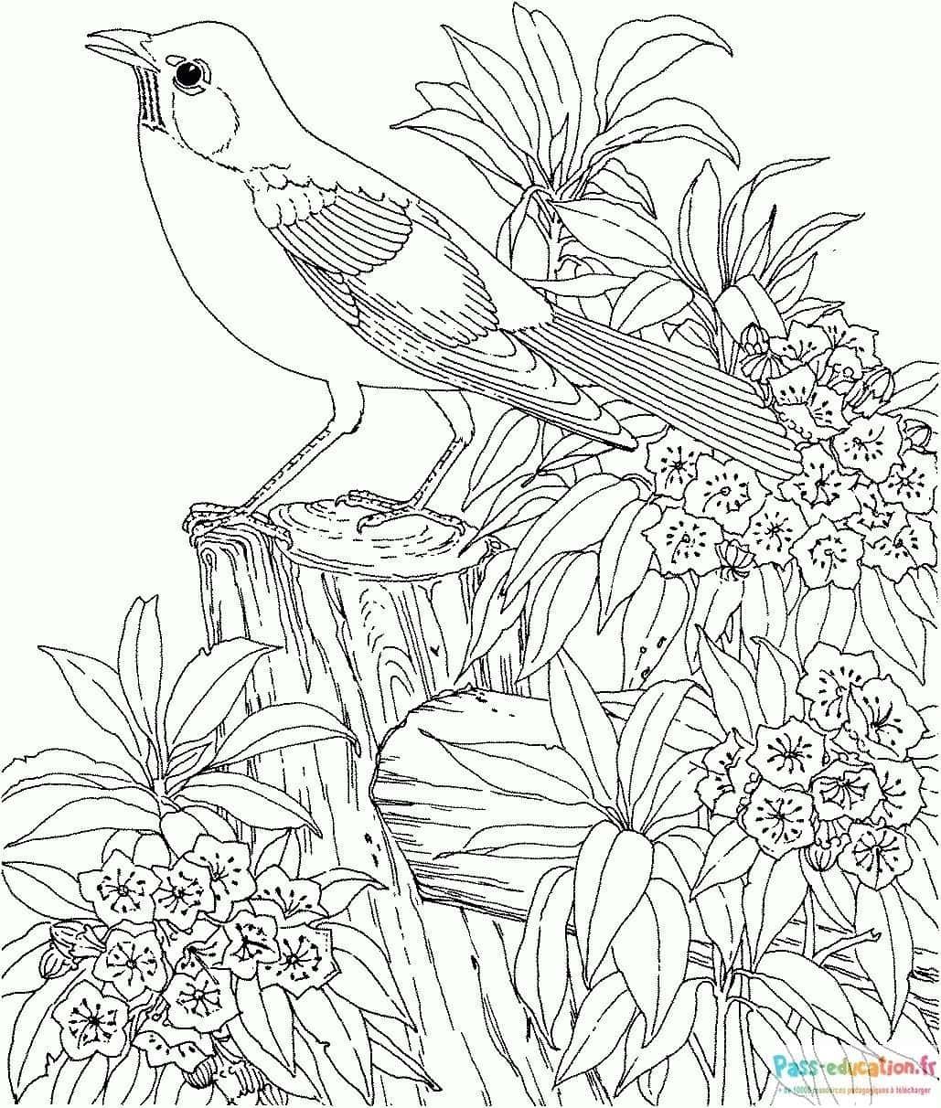 Coloriage Oiseau sur perchoir à imprimer et colorier