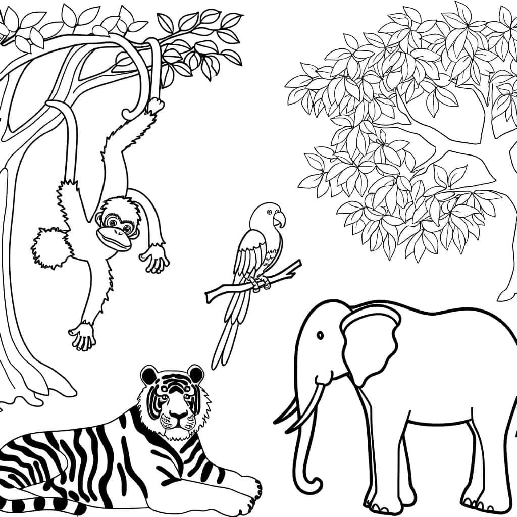 Coloriage Animaux de la jungle à imprimer et colorier