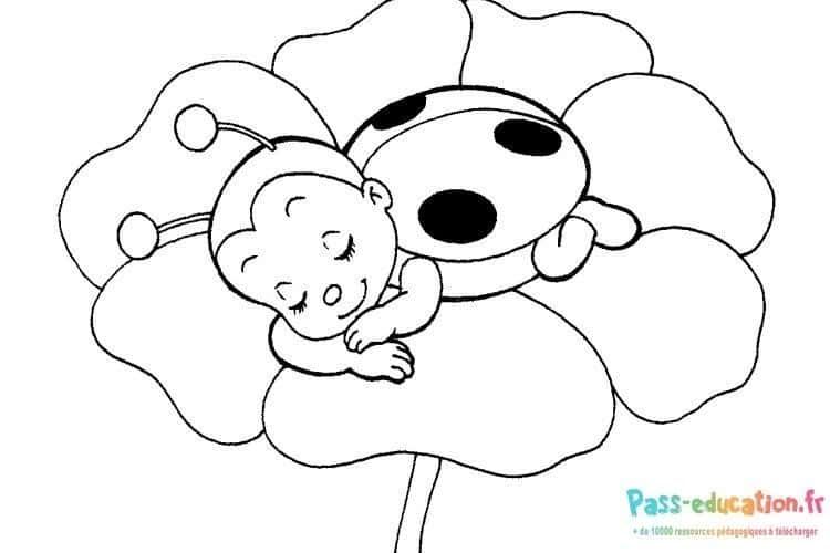 Coloriage Bébé coccinelle à imprimer et colorier