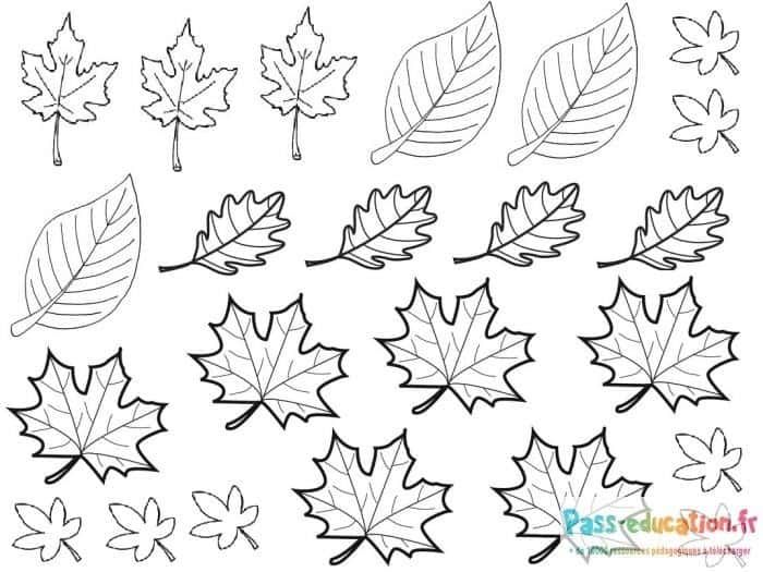 Coloriage Feuilles d'automne à imprimer et colorier