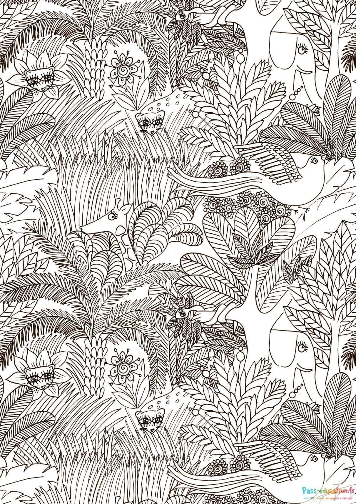 Coloriage Jungle animée à imprimer et colorier