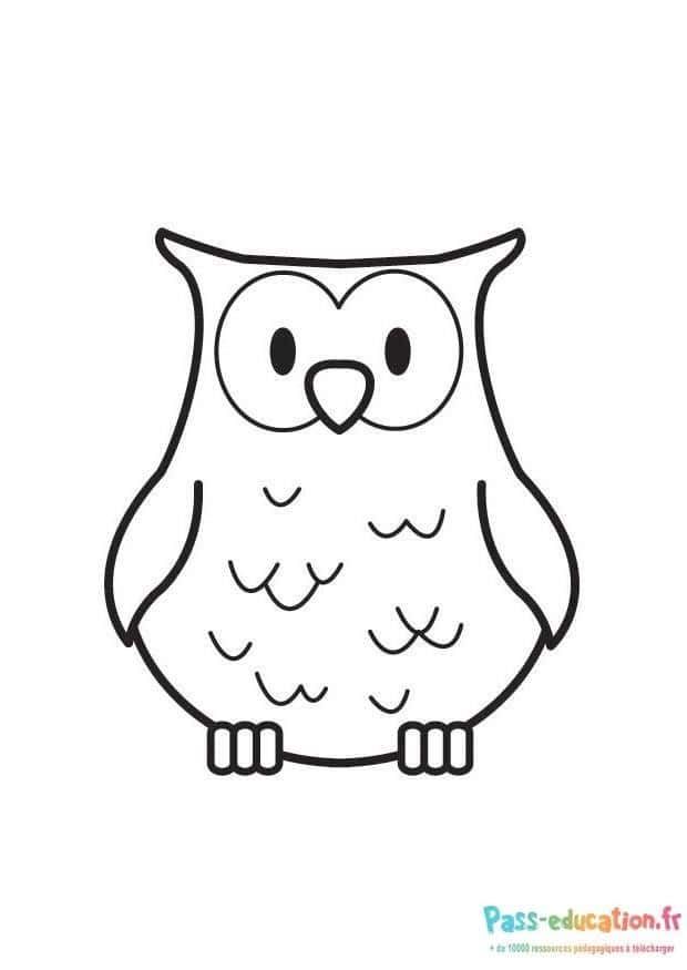 Coloriage Hibou mignon à imprimer et colorier