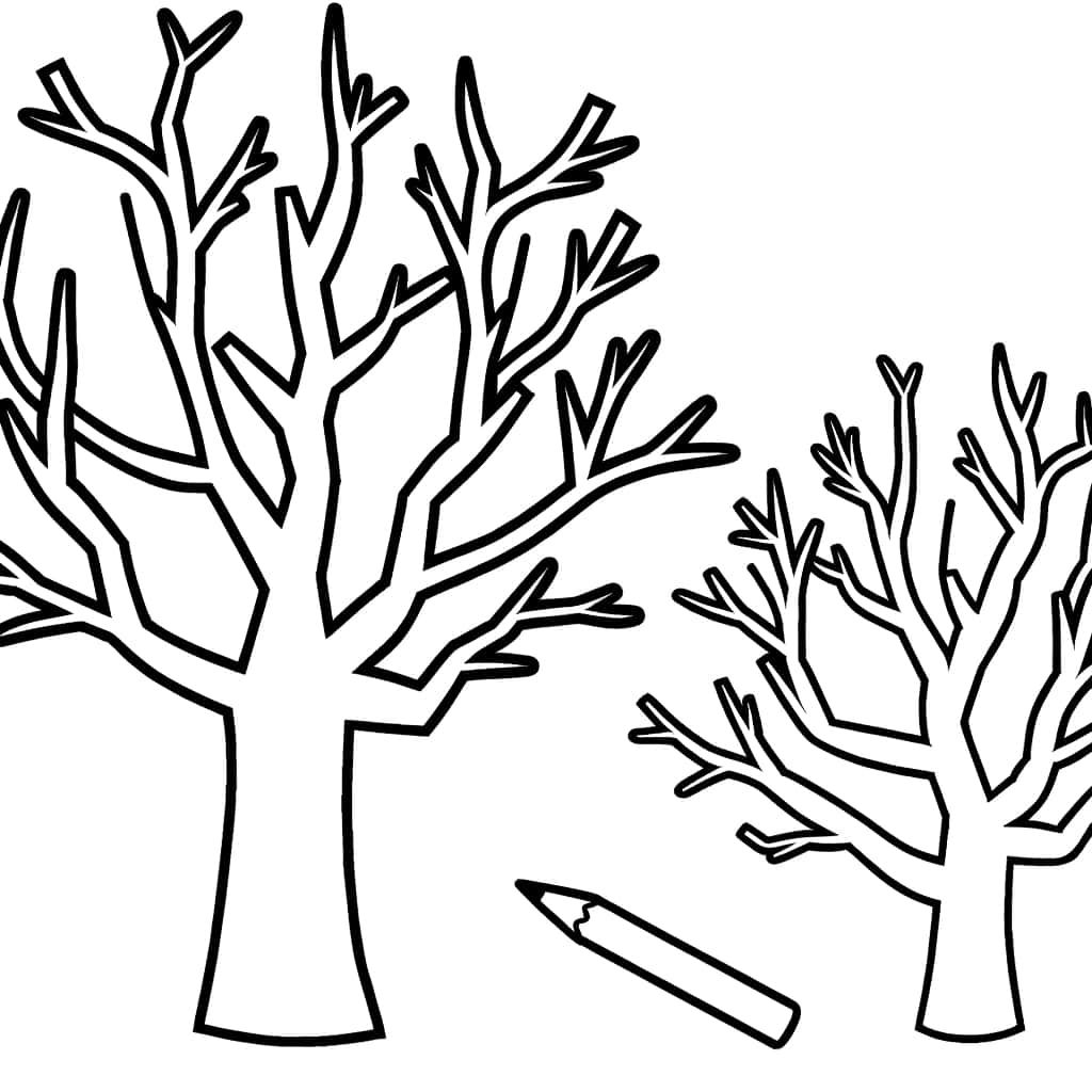 Coloriage Arbre Nu à imprimer et colorier