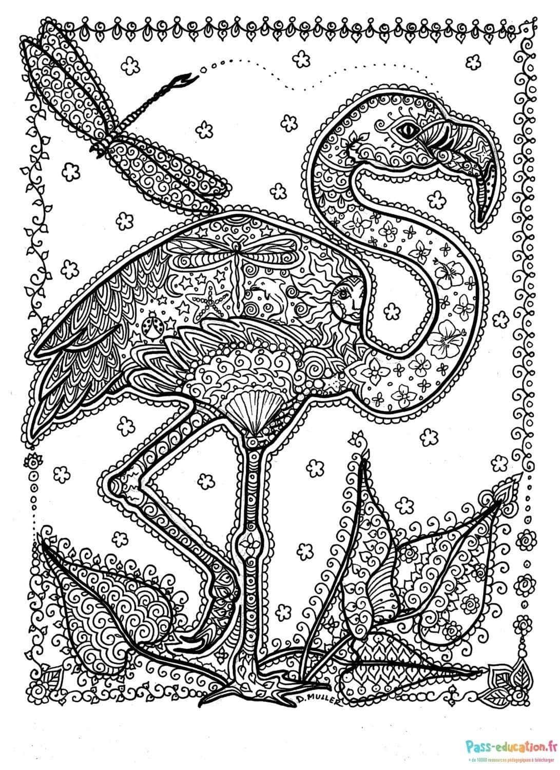 Coloriage Flamant détaillé à imprimer et colorier