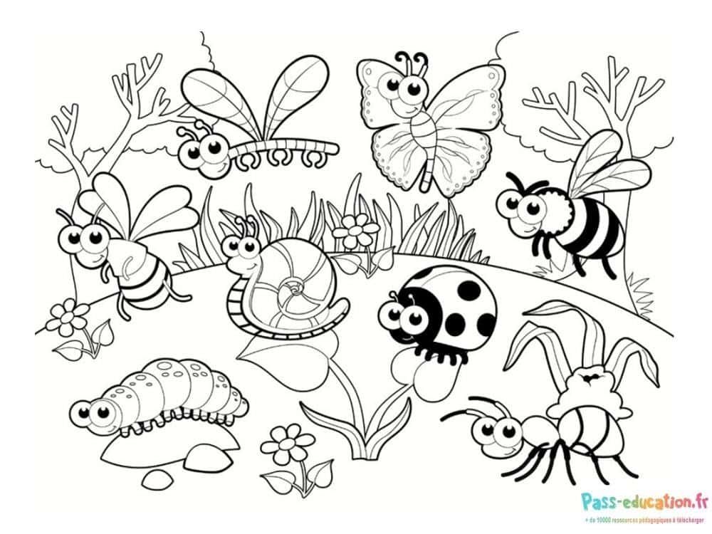 Coloriage Jardin d'insectes à imprimer et colorier