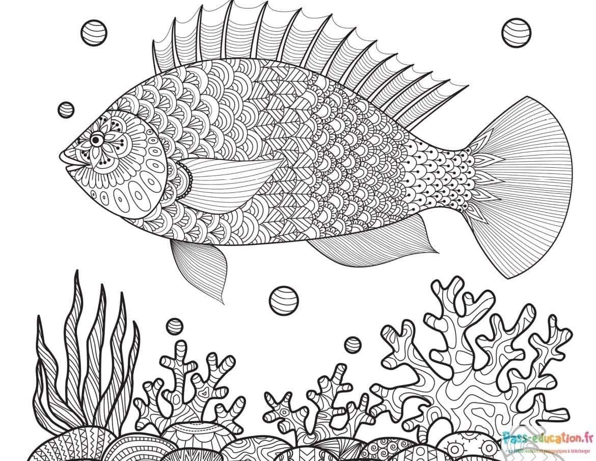 Coloriage Poisson tropical à imprimer et colorier