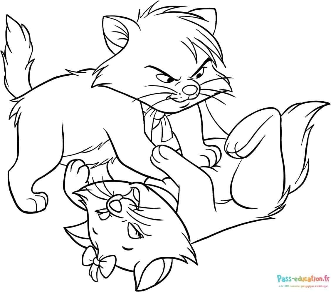 Coloriage Chats en duel à imprimer et colorier