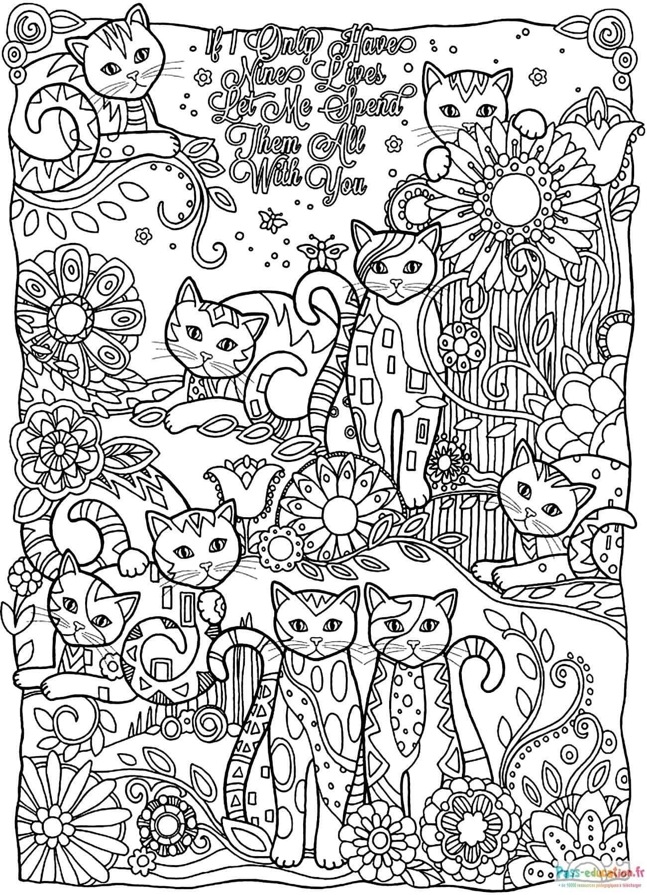 Coloriage Chats complices à imprimer et colorier