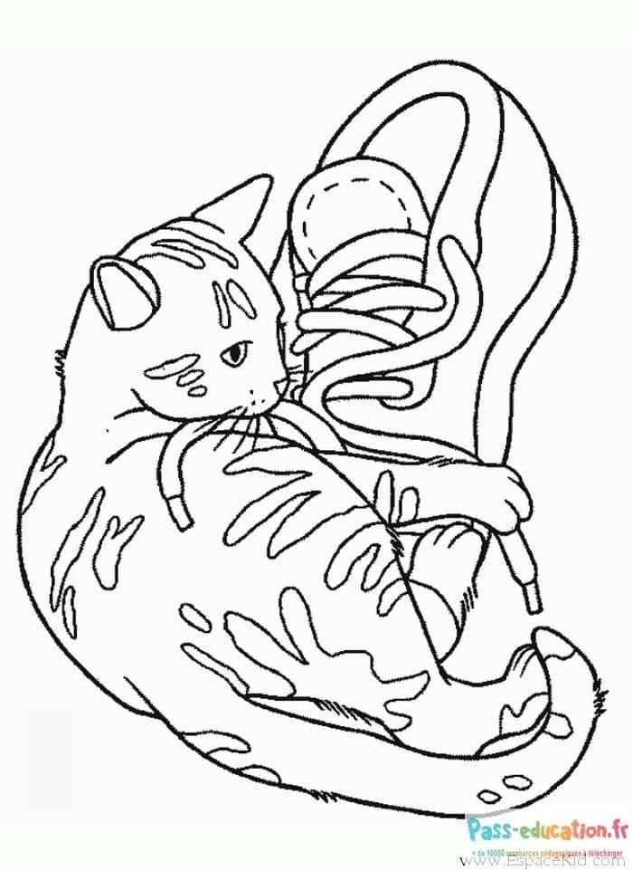 Coloriage Chat curieux à imprimer et colorier