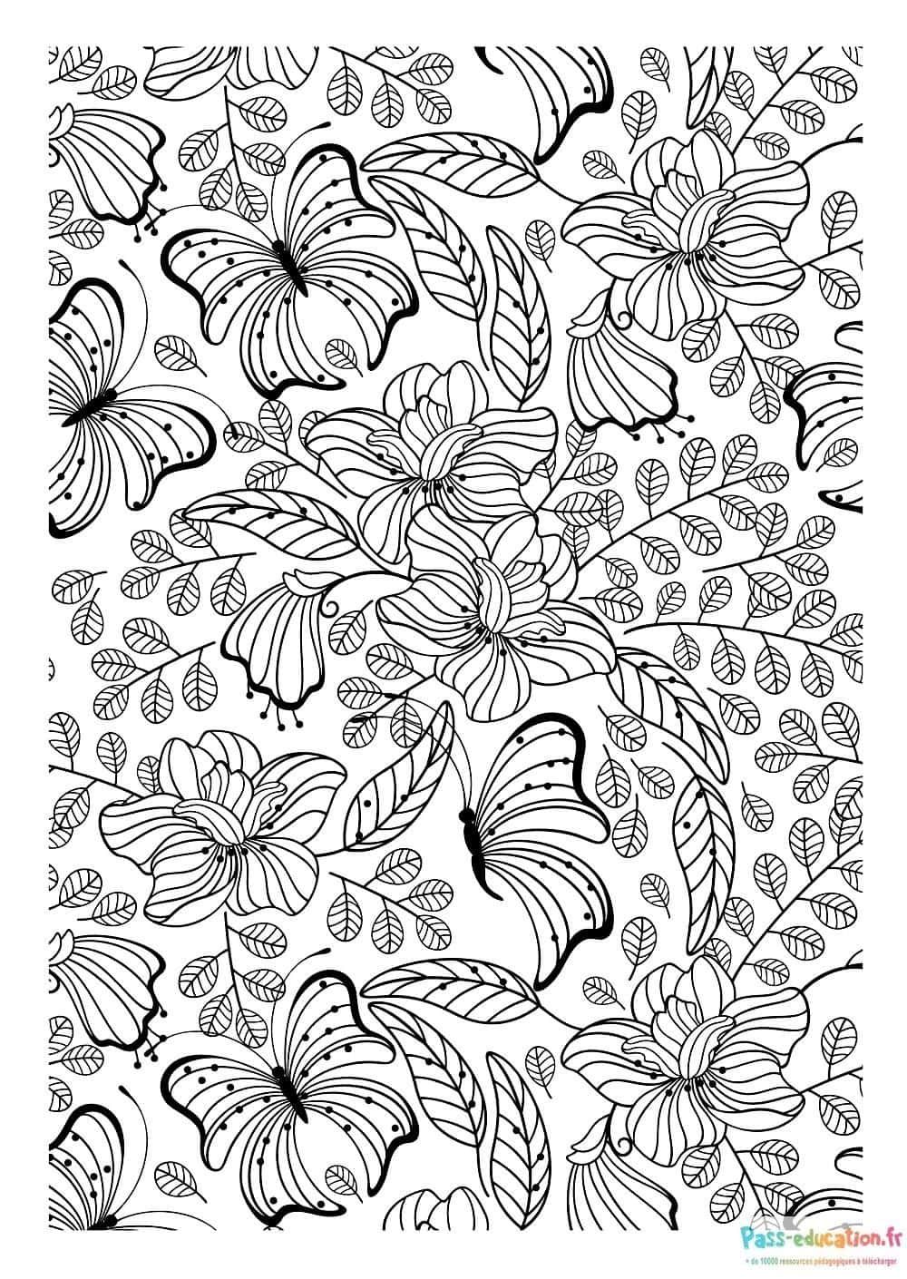 Coloriage Papillons et fleurs à imprimer et colorier
