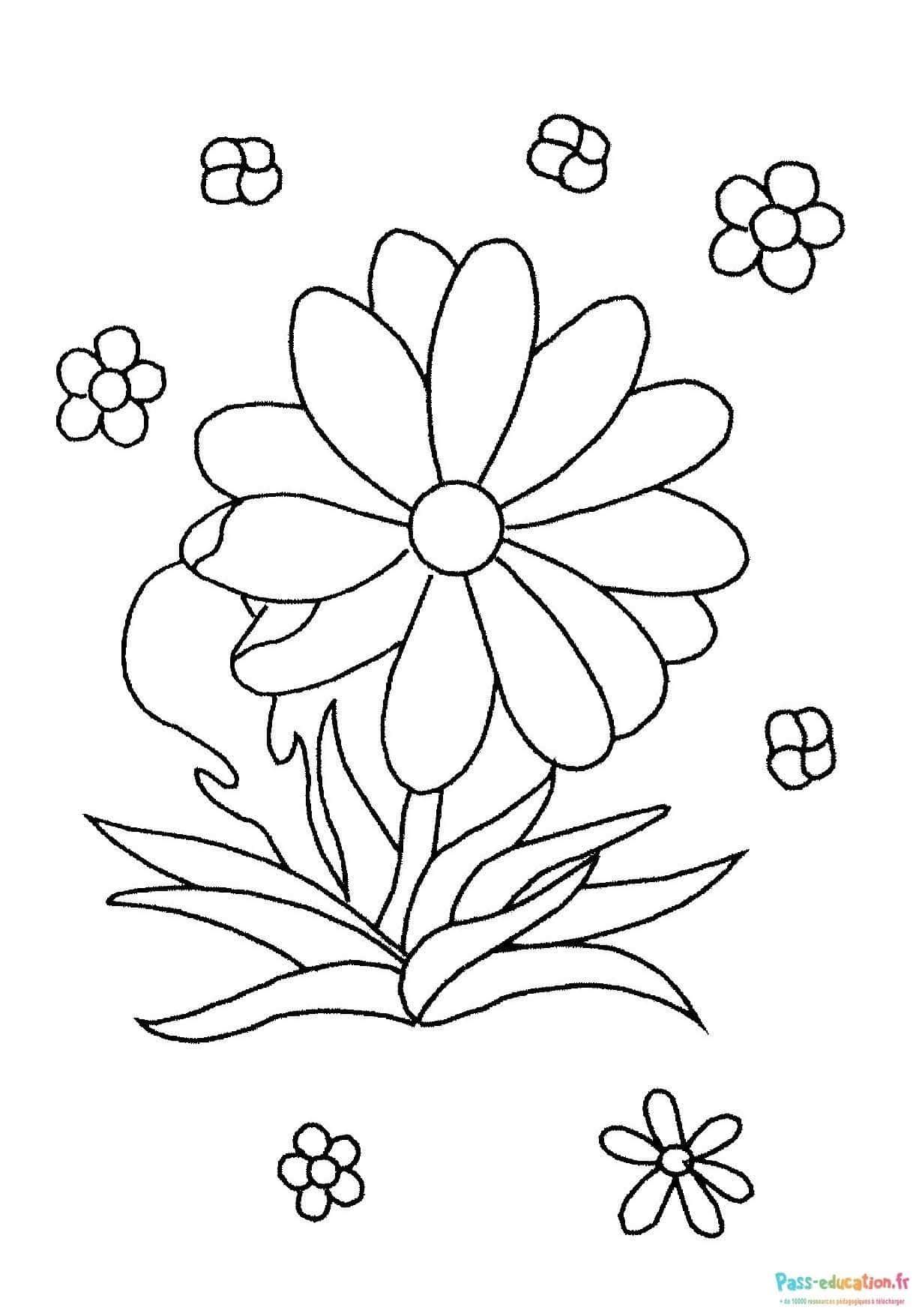 Coloriage Bouquet de fleurs à imprimer et colorier
