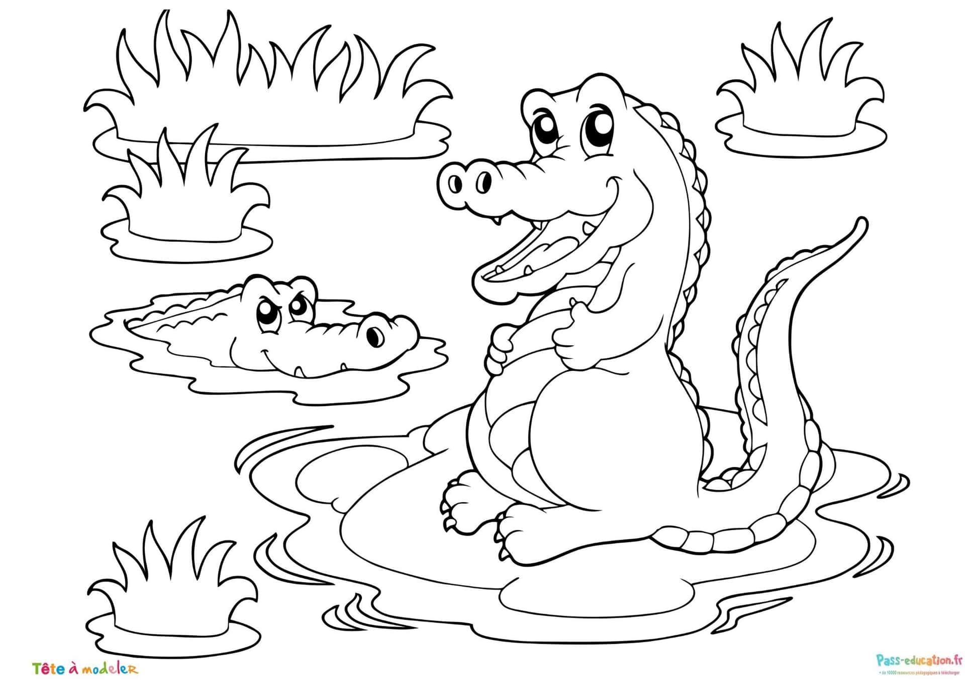 Coloriage Famille crocodiles à imprimer et colorier