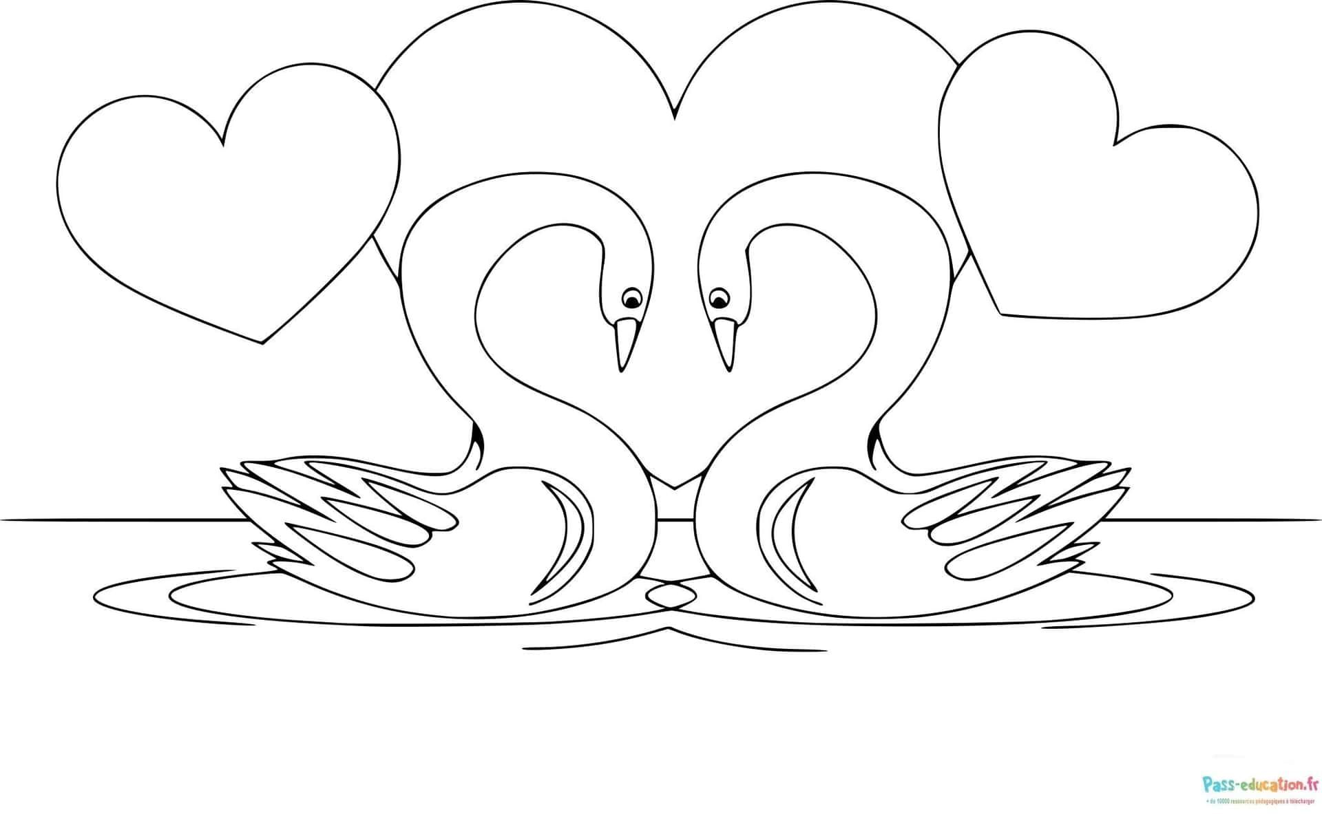 Coloriage Cygnes en coeur à imprimer et colorier