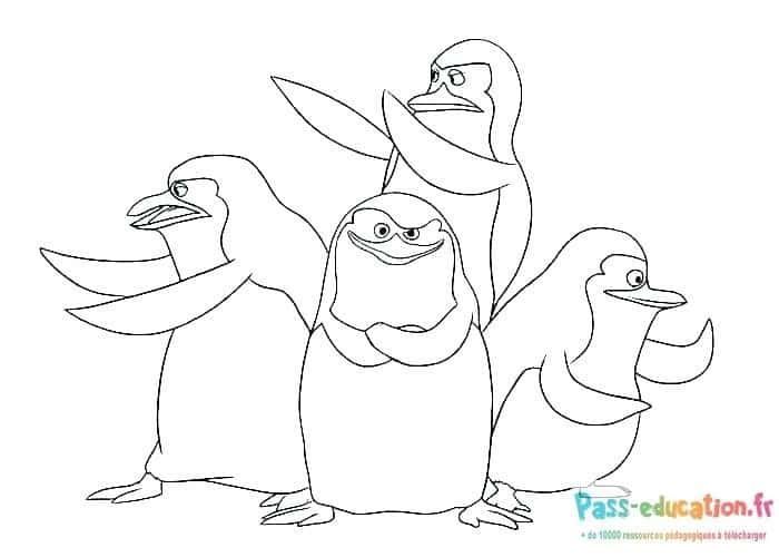 Coloriage Quatuor de pingouins à imprimer et colorier