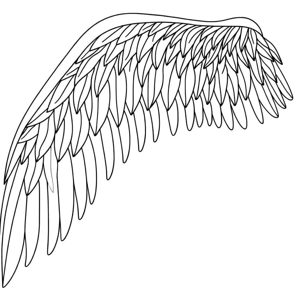 Coloriage Aile d'ange à imprimer et colorier