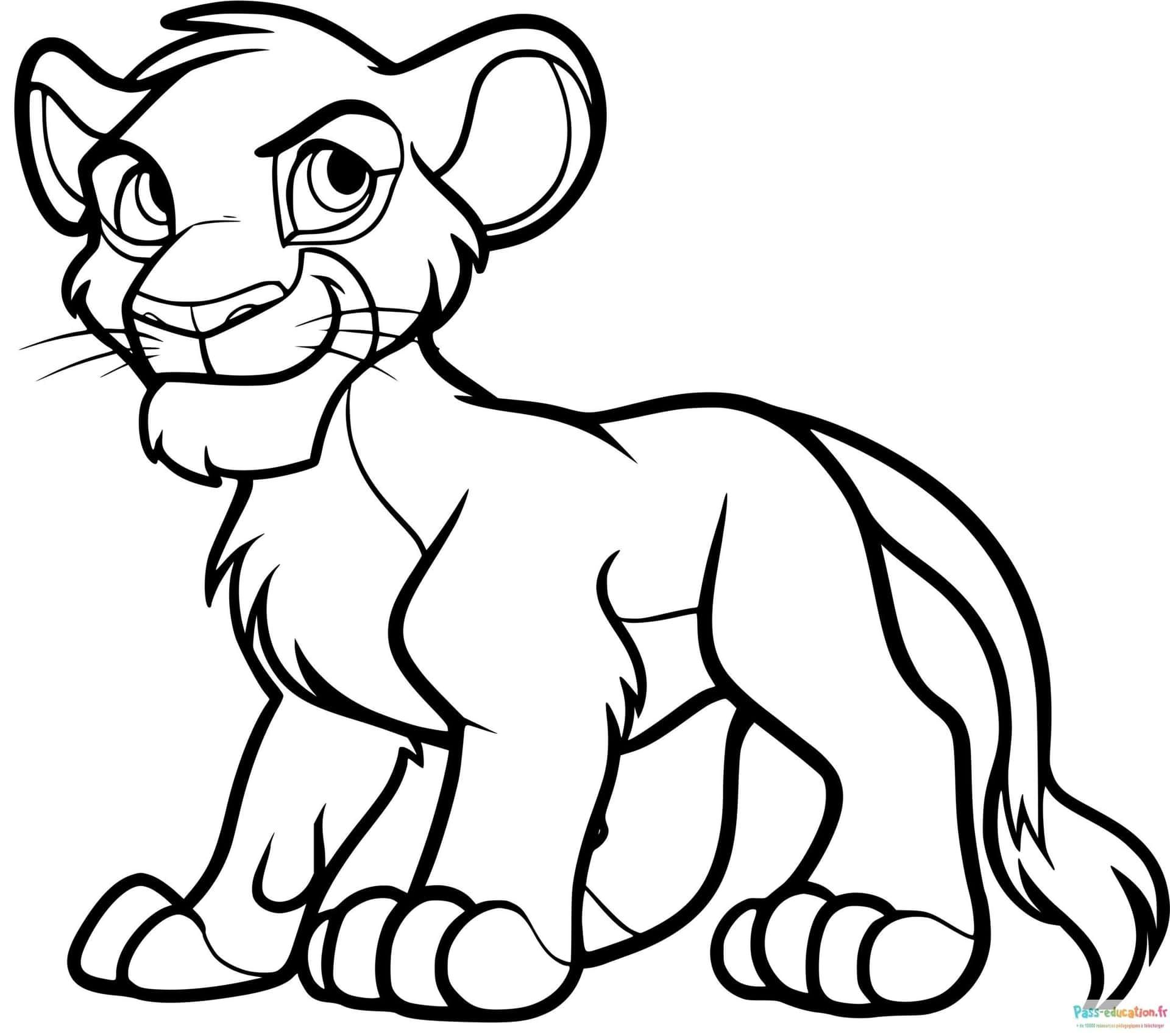 Coloriage Jeune lion à imprimer et colorier