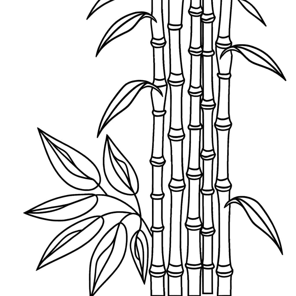 Coloriage Bambou stylisé à imprimer et colorier