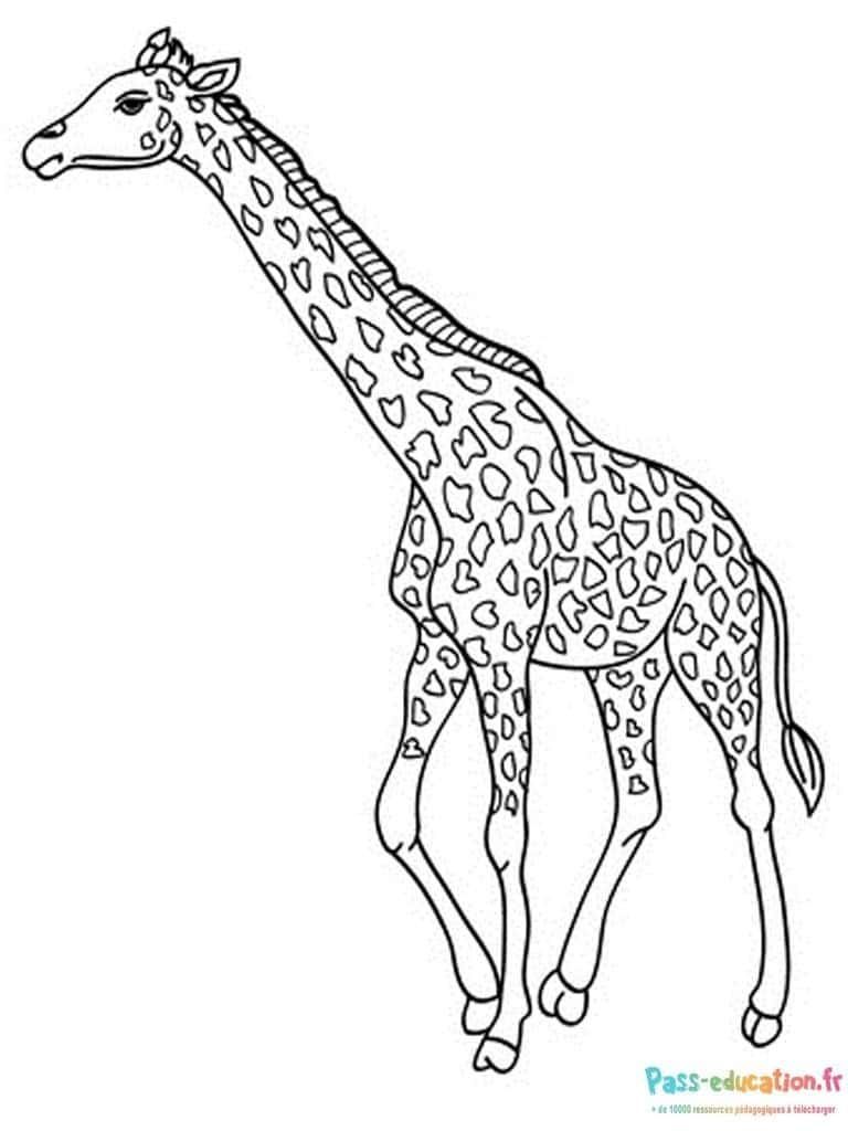 Coloriage Girafe amoureuse à imprimer et colorier