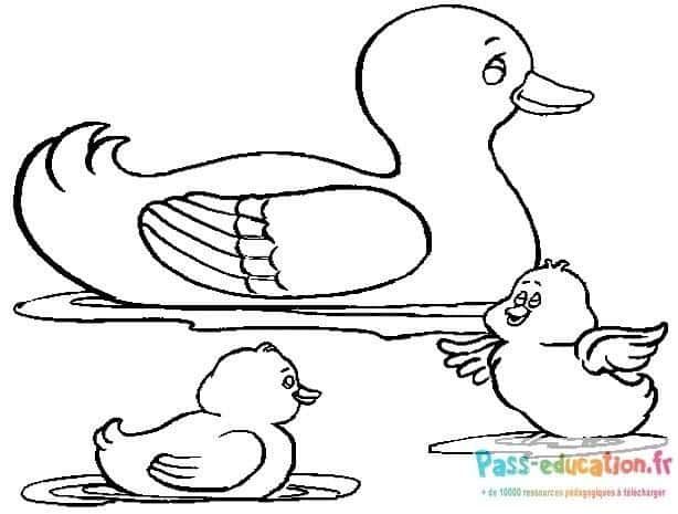 Coloriage Famille de canards à imprimer et colorier