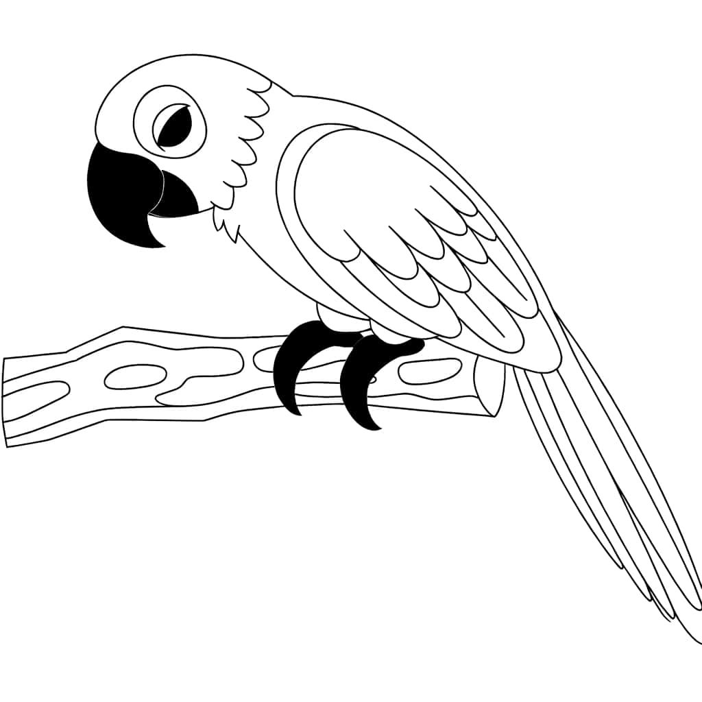 Coloriage Perroquet sur branche à imprimer et colorier