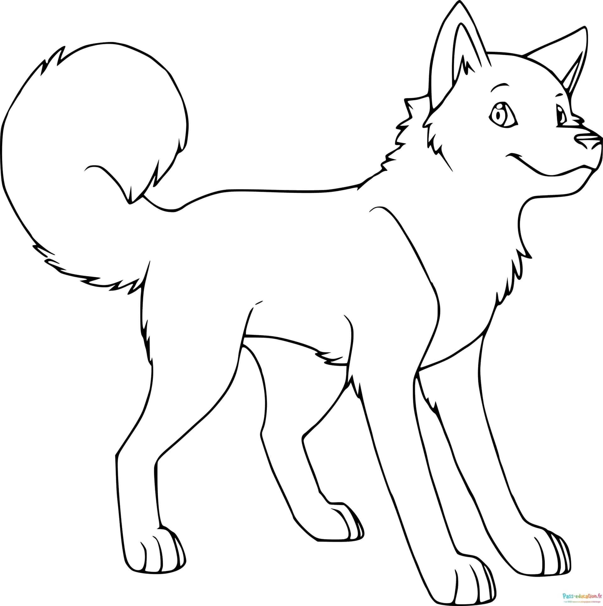 Coloriage Chiot espiègle à imprimer et colorier
