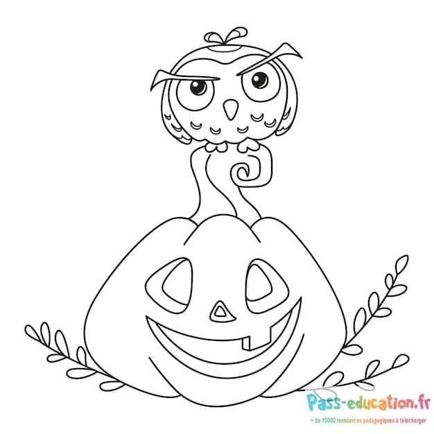 Coloriage Hibou et citrouille à imprimer et colorier