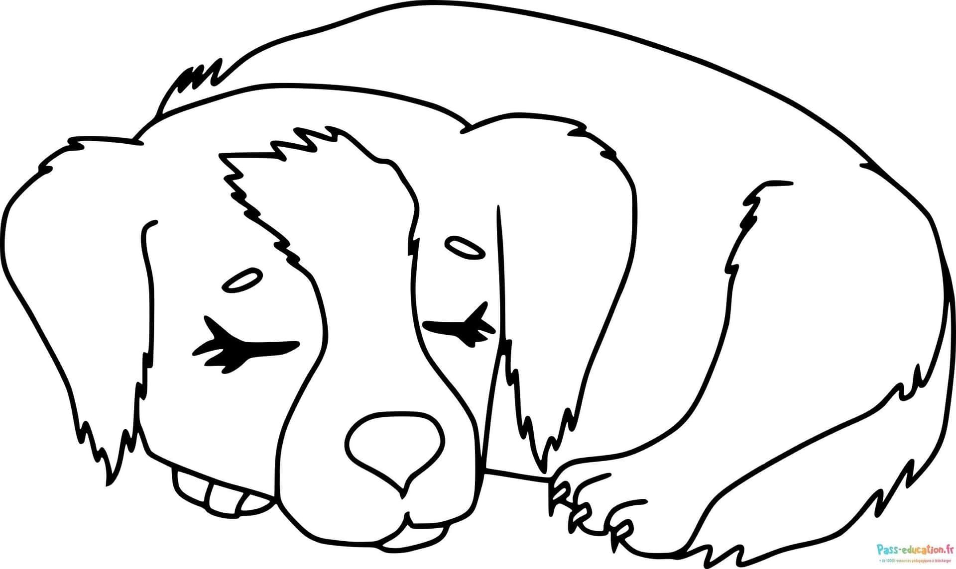 Coloriage Chiot endormi à imprimer et colorier