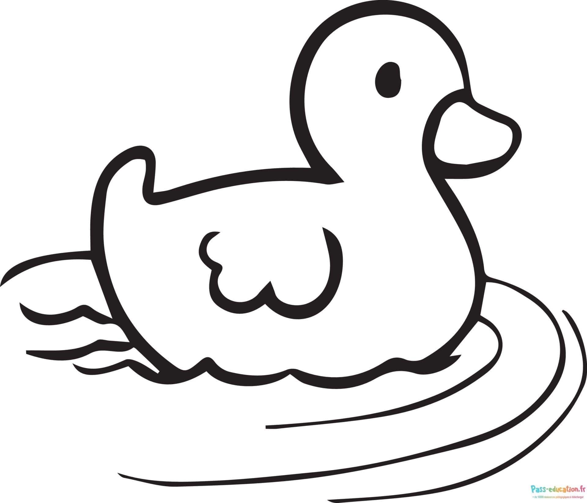 Coloriage Canard sur l'eau à imprimer et colorier