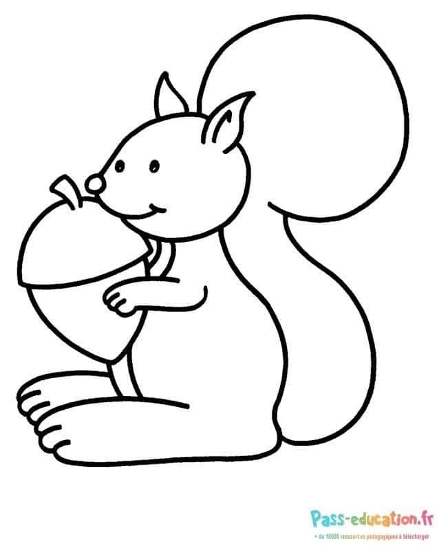 Coloriage Écureuil avec noisette à imprimer et colorier