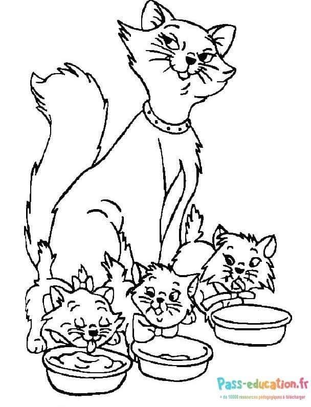 Coloriage Famille de chats à imprimer et colorier