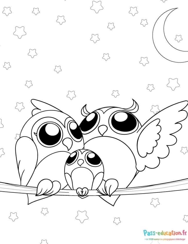 Coloriage Famille chouettes à imprimer et colorier