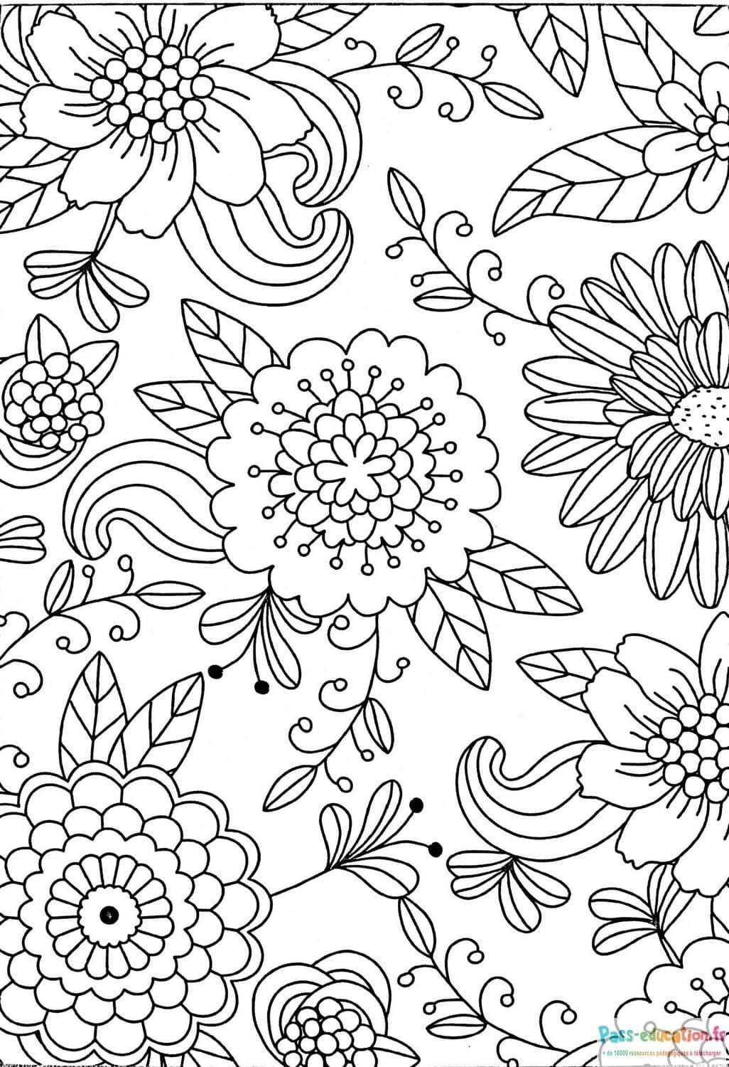 Coloriage Fleurs printanières à imprimer et colorier