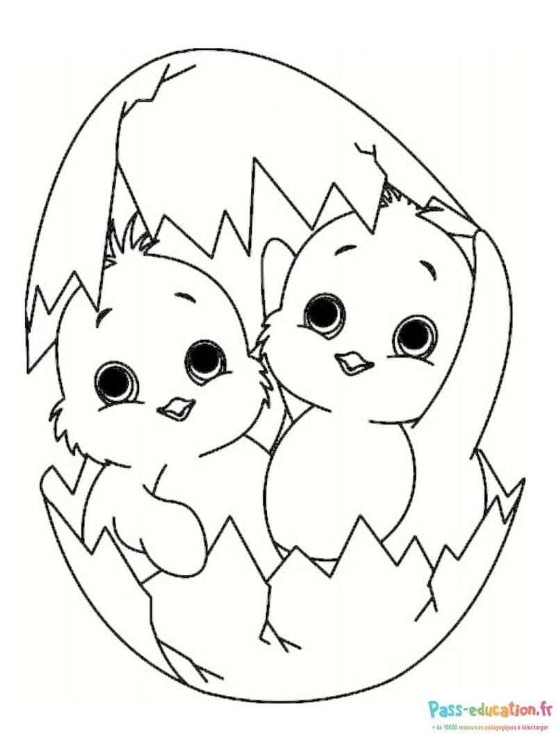 Coloriage Poussins dans œuf à imprimer et colorier
