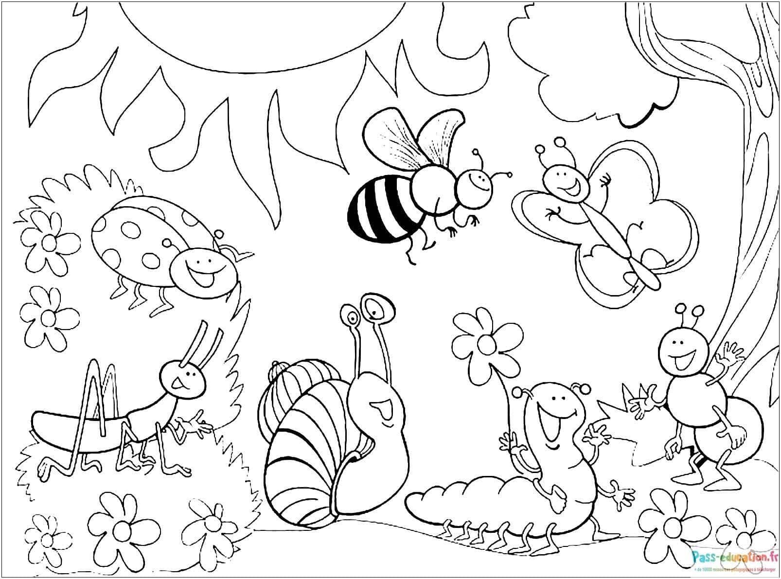 Coloriage Insectes joyeux à imprimer et colorier