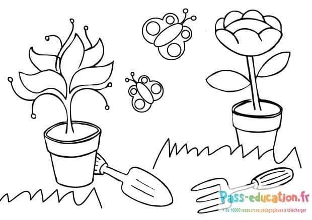 Coloriage Jardin en croissance à imprimer et colorier