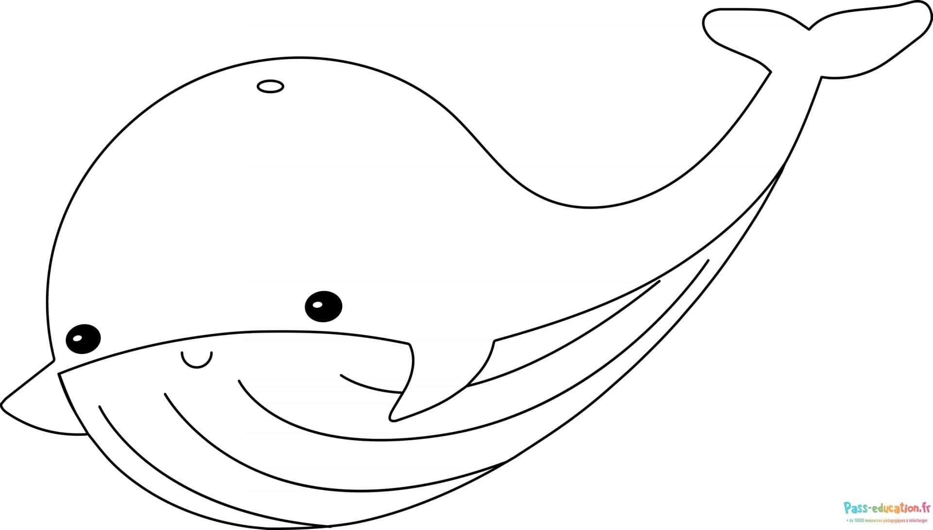 Coloriage Baleine souriante à imprimer et colorier