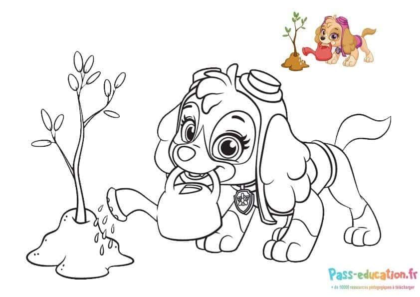 Coloriage Stella arrose une plante à imprimer et colorier