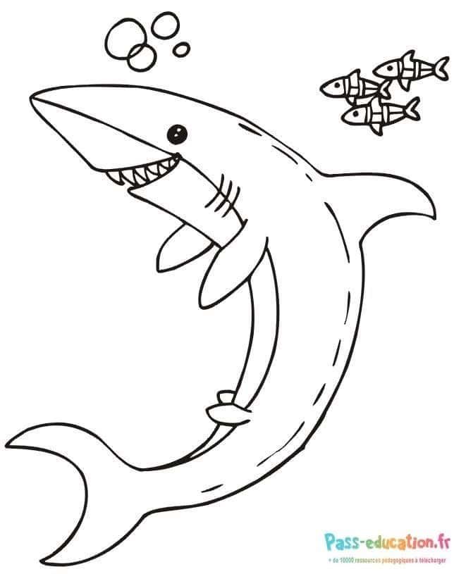 Coloriage Requin joyeux à imprimer et colorier