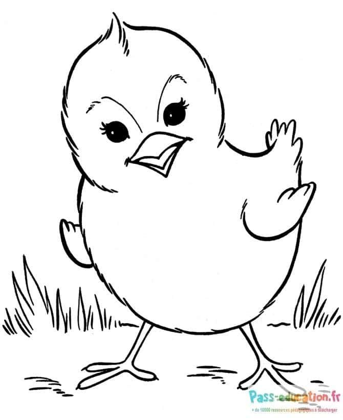 Coloriage Poussin joyeux à imprimer et colorier