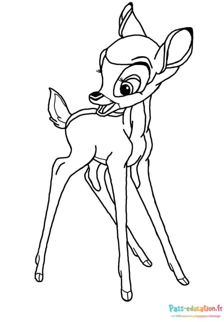 Coloriage Biche attentive à imprimer et colorier