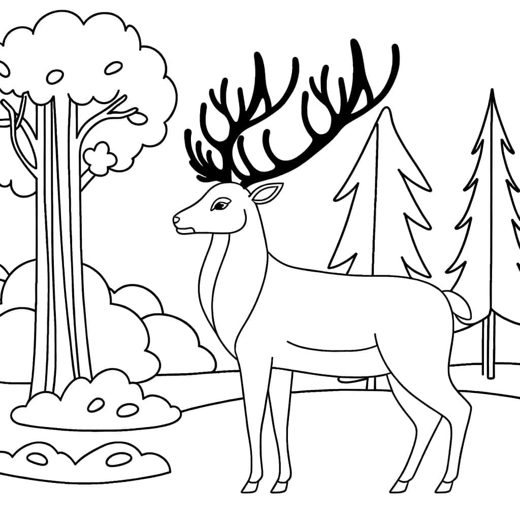 Coloriage Cerf en forêt à imprimer et colorier
