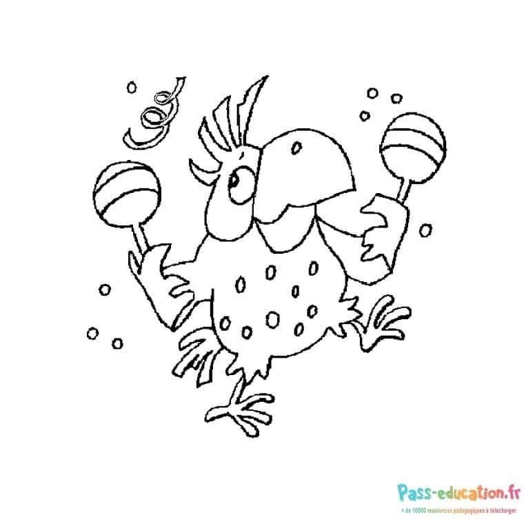 Coloriage Perroquet maracas à imprimer et colorier