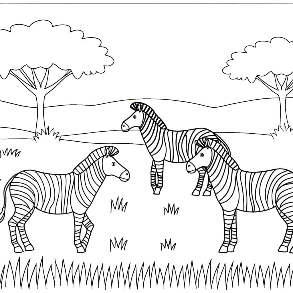 Coloriage Trois Zèbres à imprimer et colorier
