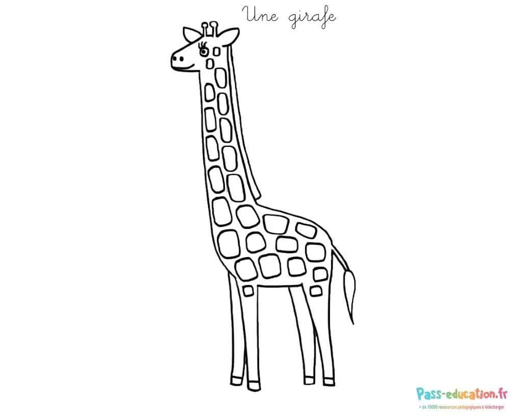 Coloriage Girafe stylisée à imprimer et colorier