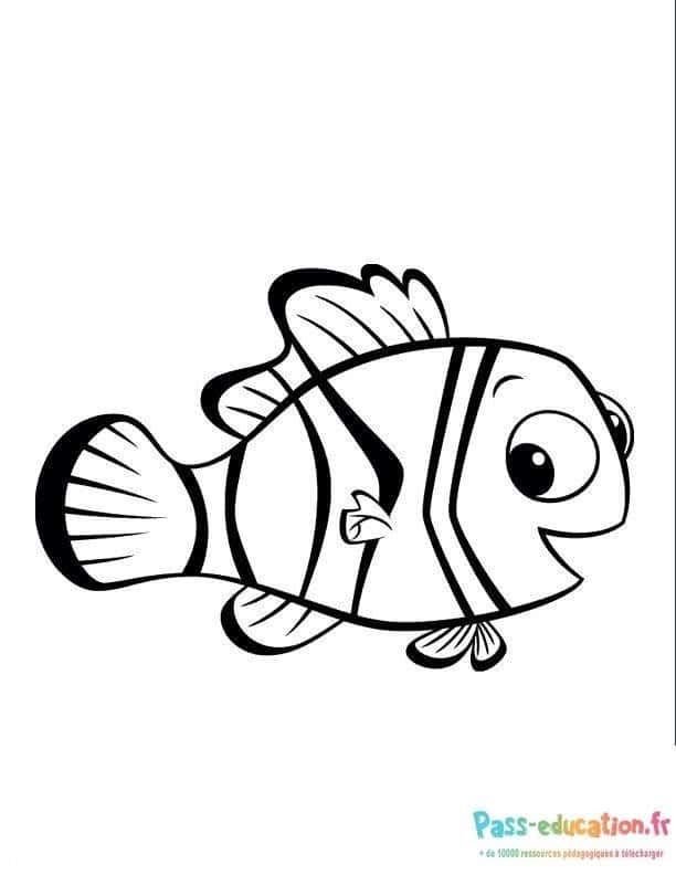 Coloriage Poisson clown à imprimer et colorier