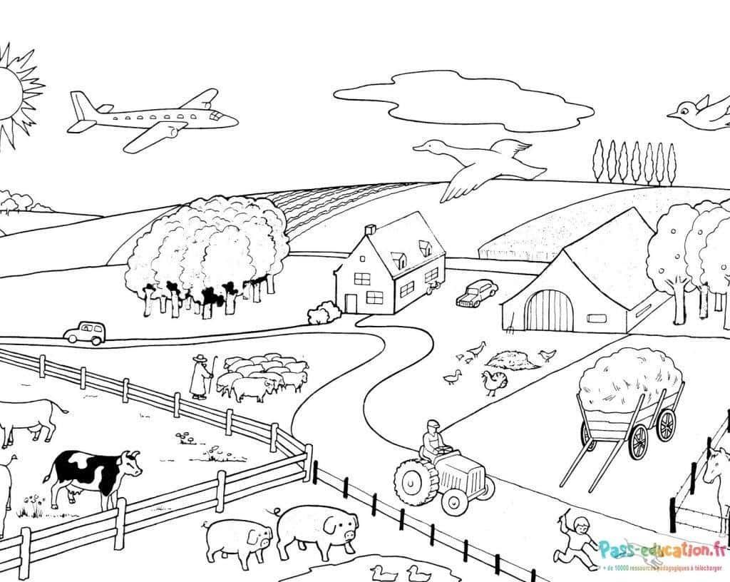 Coloriage Scène de ferme à imprimer et colorier
