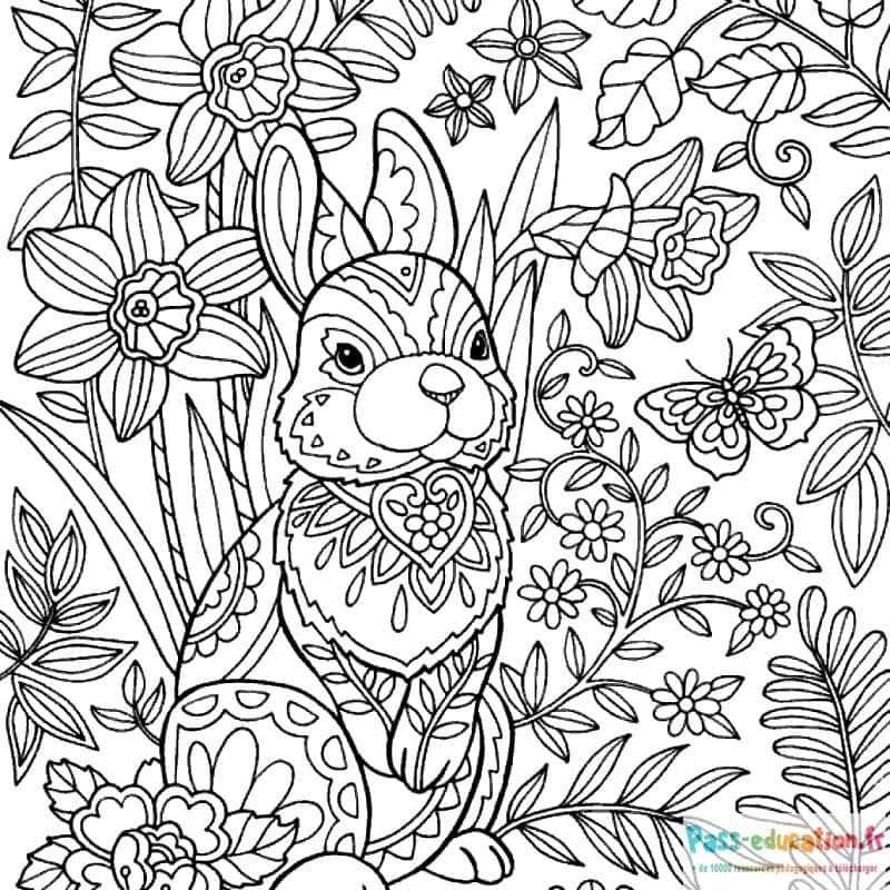Coloriage Lapin printanier à imprimer et colorier