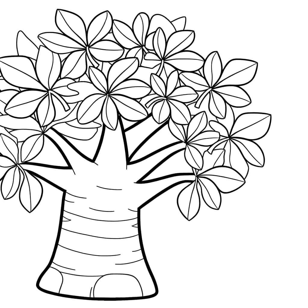 Coloriage Baobab majestueux à imprimer et colorier