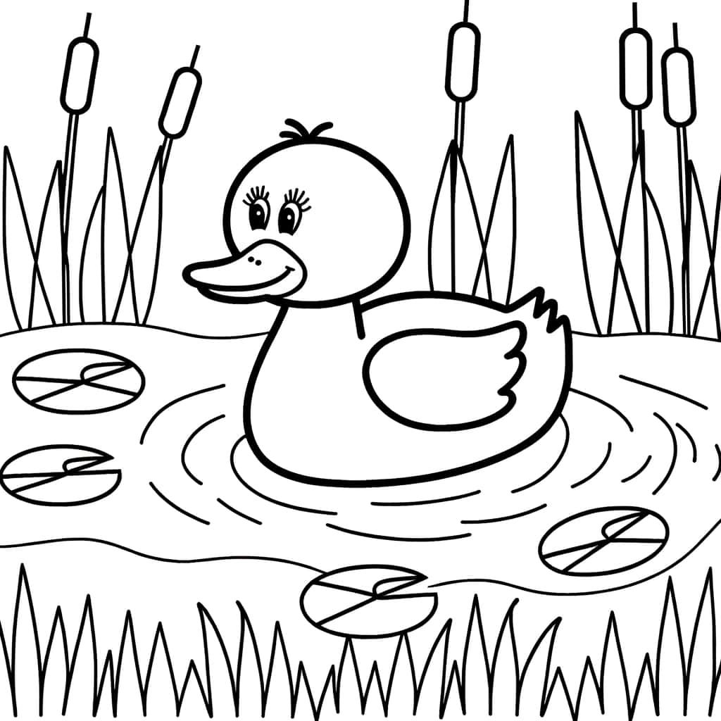 Coloriage Canard dans l'étang à imprimer et colorier