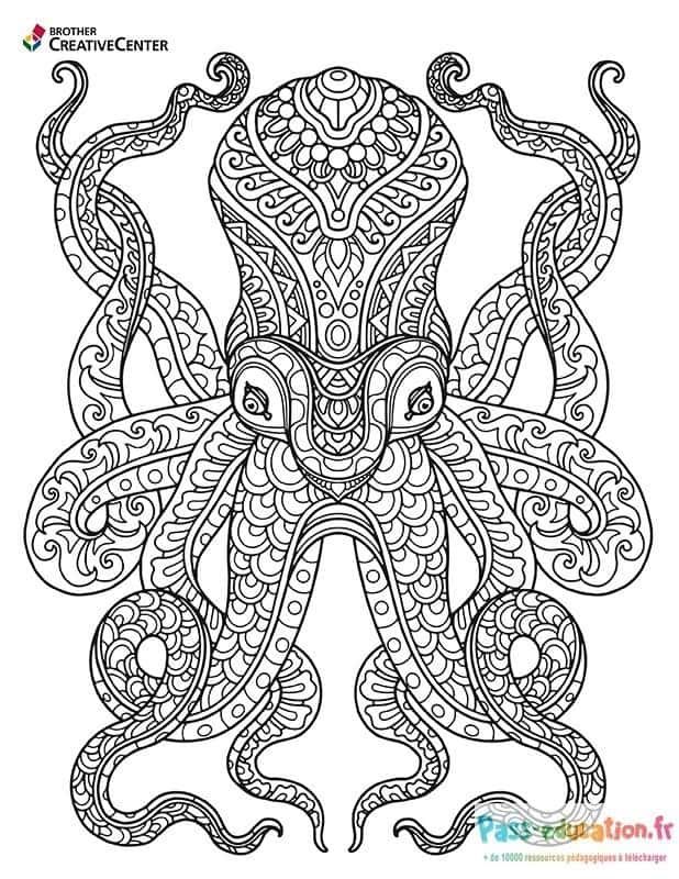 Coloriage Pieuvre ornée à imprimer et colorier